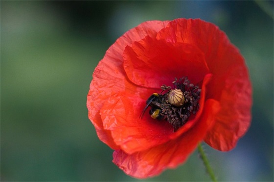 幸福感爆棚的女生扣扣签名 幸福感爆棚的网名