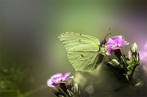 别具匠心的唯美微信网名(共82个)