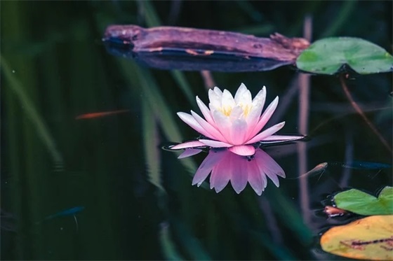 最有感觉的微信网名(优选83个)