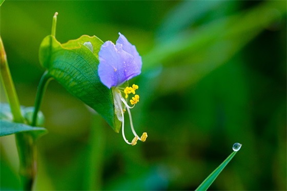 2026餐饮杜绝浪费标语口号