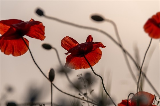 教职工运动会口号83句