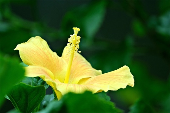 七年级口号大全集83句