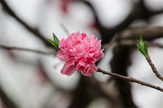 体育比赛霸气的口号81句