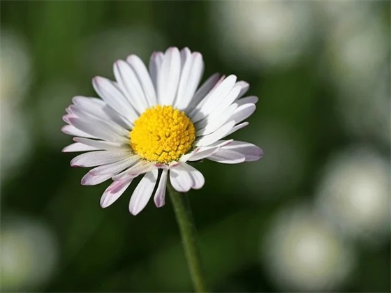 高中体育运动会班级口号82句