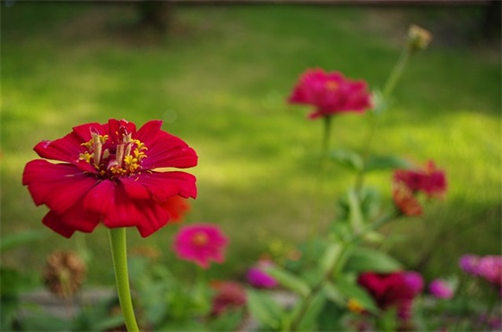 班级宣传口号85句