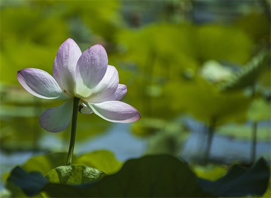 运输企业标语91句