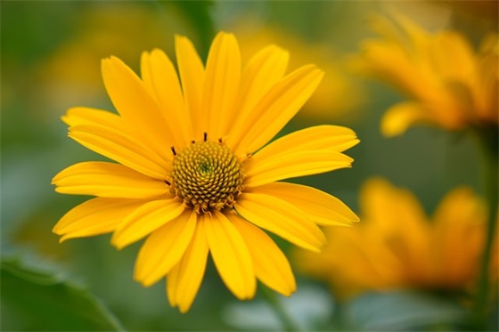 餐饮口号大全霸气十足83句