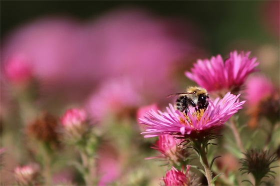 班级口号文艺85句