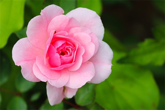 高中生班级口号84句