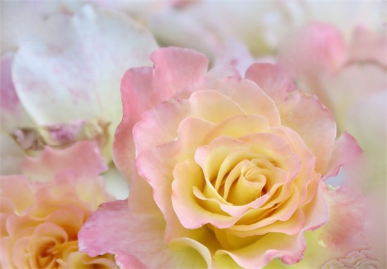 比较霸气的鼓励口号80句