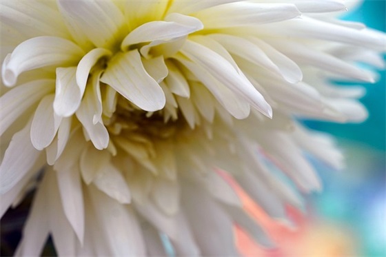 开业贺卡祝福语49句