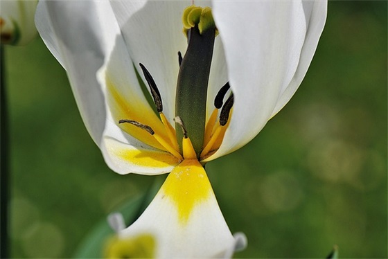 五四青年节简语 五四青年节简短祝福语