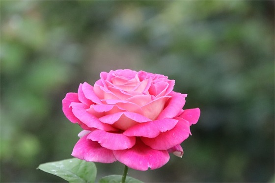 冬至祝福语顺口溜