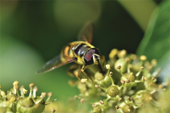 给初三毕业的祝福语42句