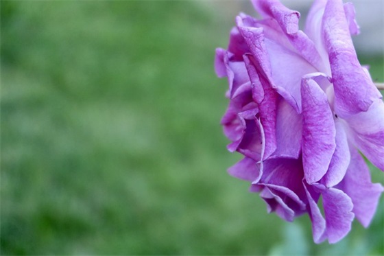 70周年简短祝福语26句