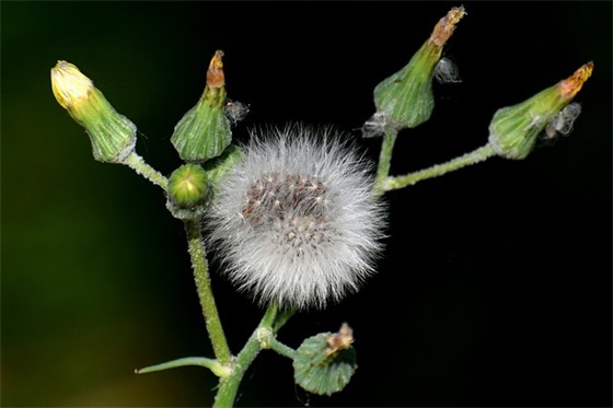 给小孩祝福语 给孩子的祝福语