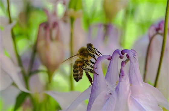 关于夏至晚上好的暖心句子 调皮幽默晚安心语