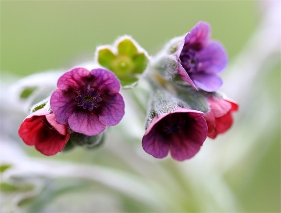 艺考祝福语41句