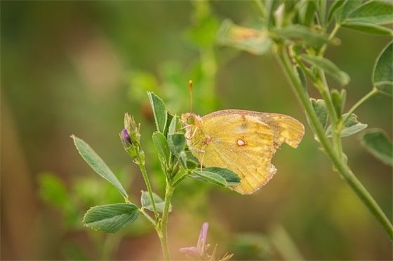 送给宝贝的祝福语56句