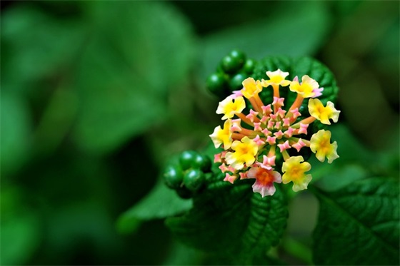 祝爷爷生日快乐的祝福语发朋友圈