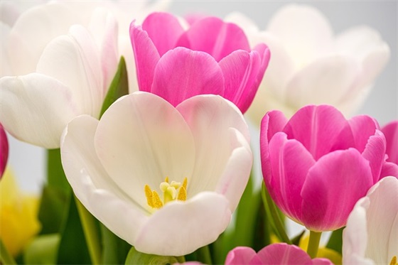 超搞笑短句 精辟搞笑短句 生日祝福精辟短句搞笑