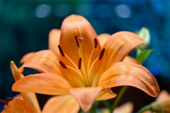 祝高三学子的祝福语 祝高三学子的短祝福语