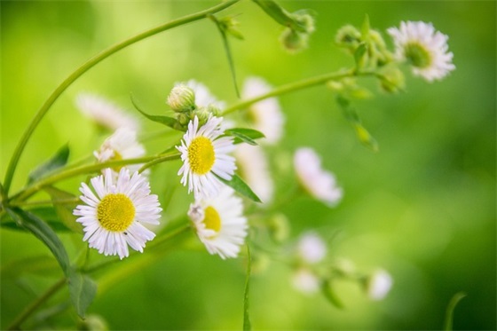 2026年学校食堂节约粮食宣传口号
