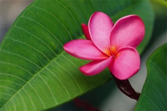 大学校运会班级口号81句