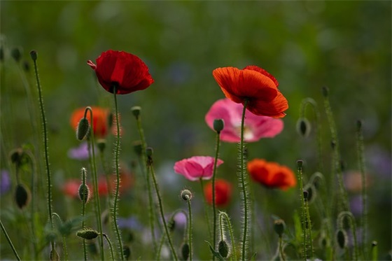 节能宣传周口号84句