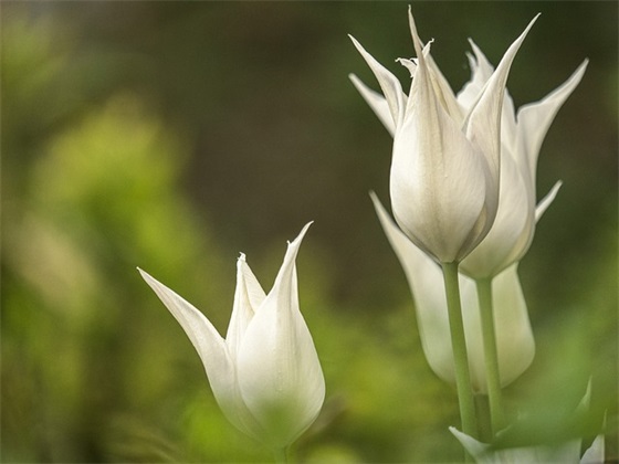 学校楼道宣传标语 学校楼道标语