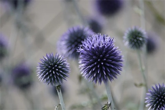 经典体育口号82句