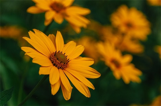 电器宣传口号88句