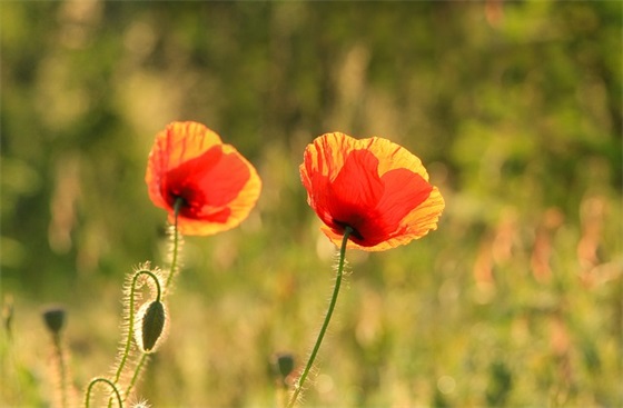 公司体育运动口号90句