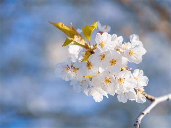 二年级体育竞赛口号85句