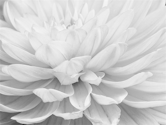 草坪环保标语 草坪标语