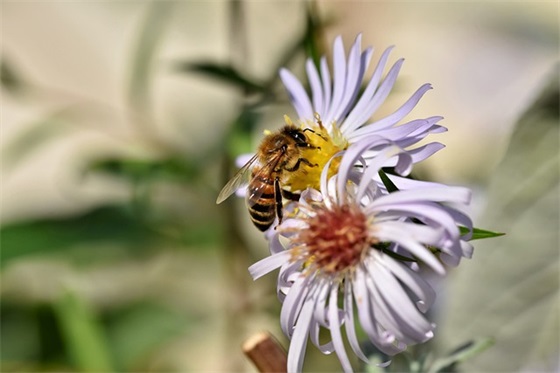初中体育节霸气押韵口号89句