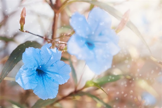 短小中考口号霸气押韵79句