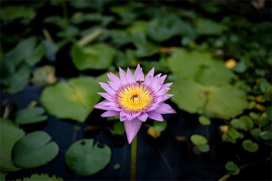 广告标语口号大全84句