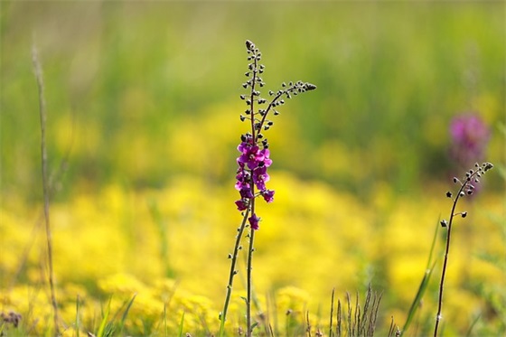年初销售目标口号82句