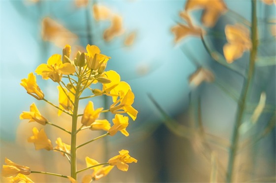 艾滋宣传标语 艾滋宣传标语大全