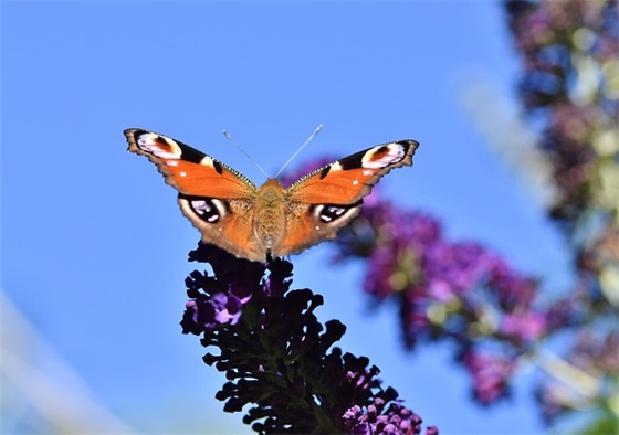 道路交通安全综合整治宣传标语100句