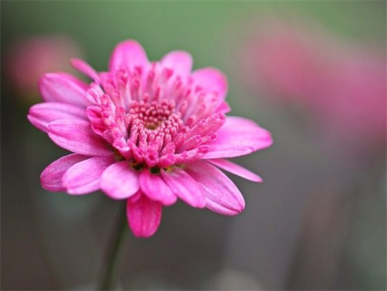 2025世界读书日宣传语口号