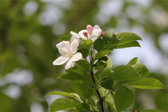 电力企业口号85句