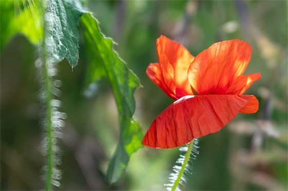 风采展示销售口号82句