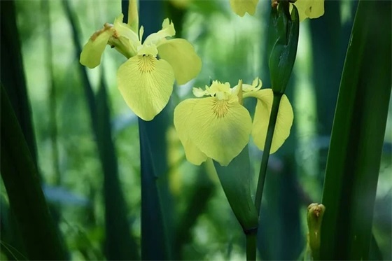 企业诚信的标语99句