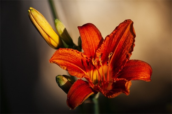 好房子销售口号87句 好房子销售口号87句