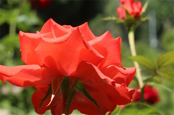 驾校安全警示标语100句