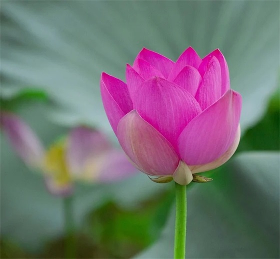 保险团队口号大全92句 保险团队口号大全92句