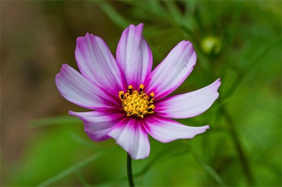 运动会加油口号 2025秋季运动会加油宣传口号