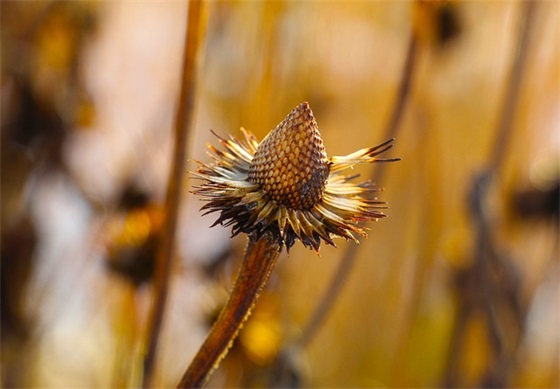 晨会企业口号精神 4s店晨会口号 晨会企业口号精神 4s店晨会口号
